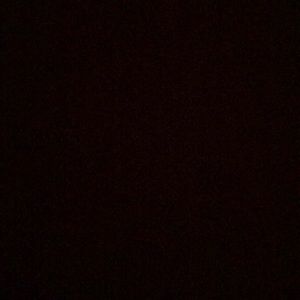 Meet your Posher, Carmella